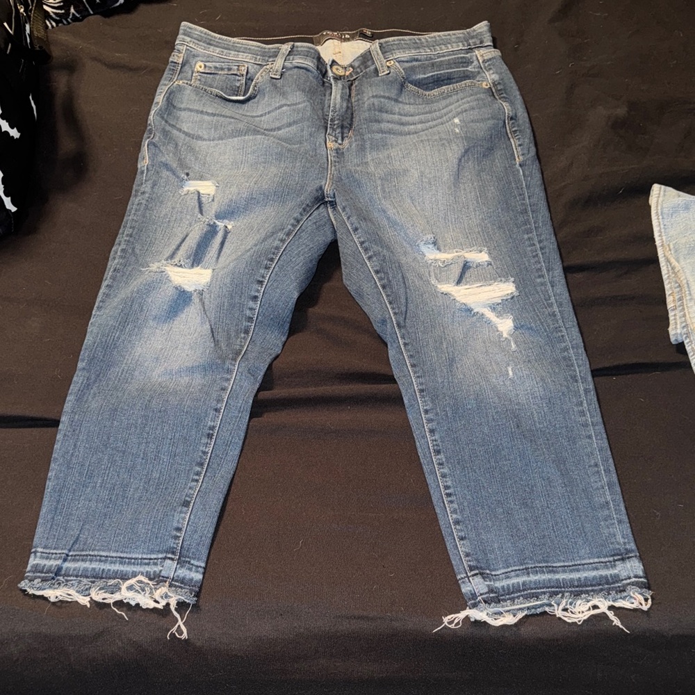 Torrid Blue Distressed Ankle Jeans